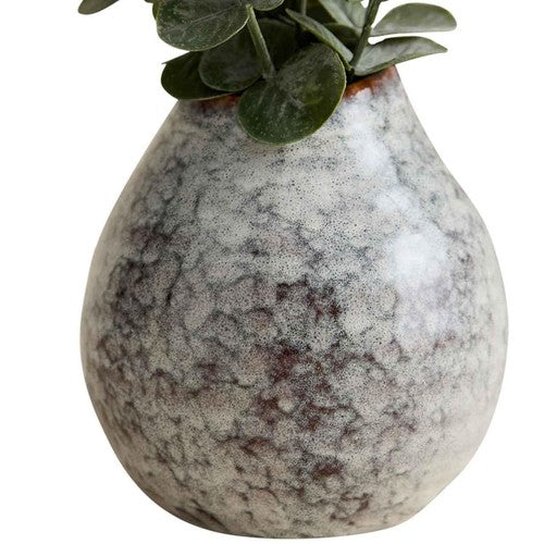 M&S Artificial Eucalyptus in Ceramic Pot, Green