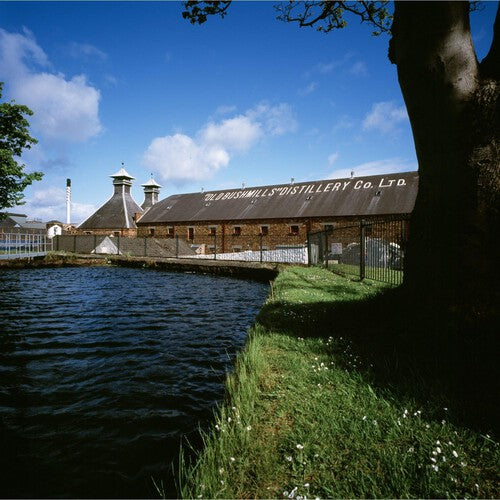 Bushmills 10 Year Old Single Malt Irish Whiskey