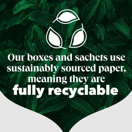 PG Tips 240 Black Tea Plant based biodegradable tea bags