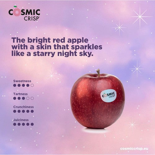 Cosmic Crisp Apples
