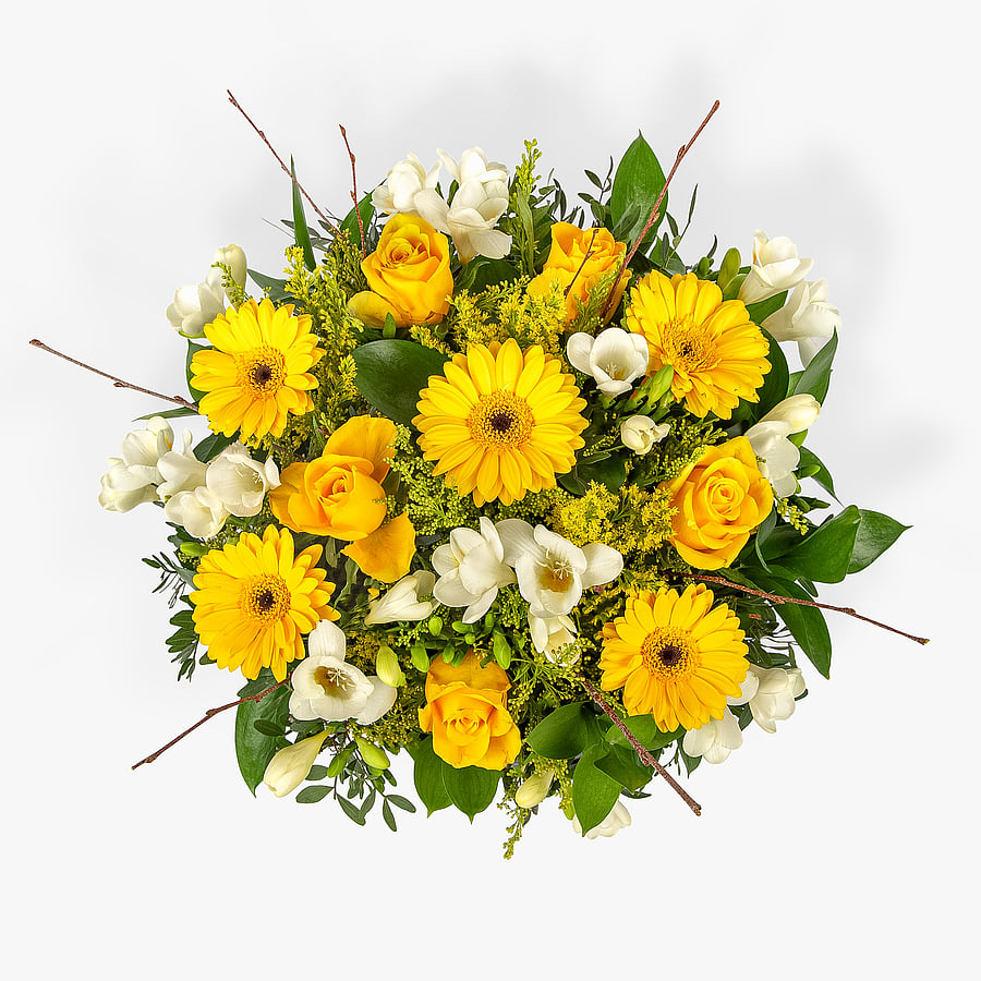 Lemon Cello Hatbox