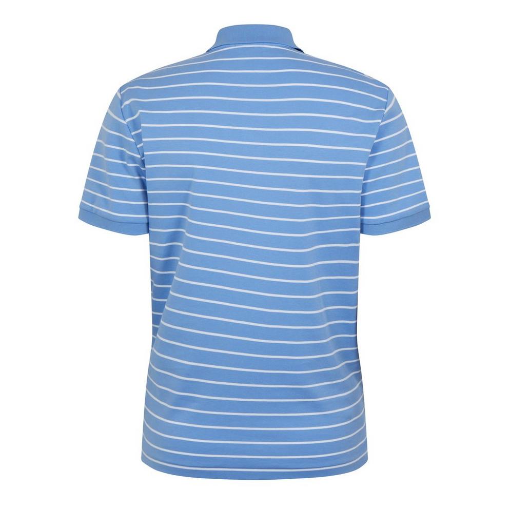 Striped Polo Shirt
