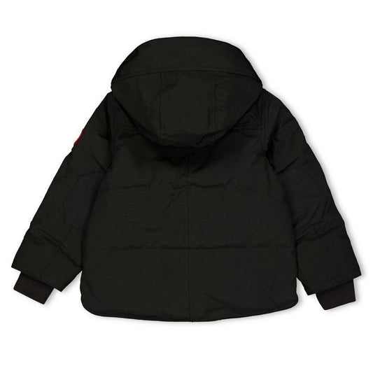 Canada Goose Canada Snowy Owl Prk Jn64