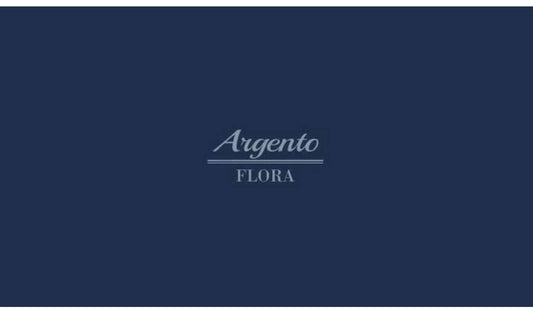 De'Longhi CTO4.GR Argento Flora 4 Slice Toaster - Green