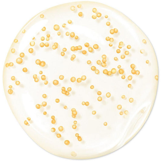 Abeille Royale Youth Watery Oil Serum