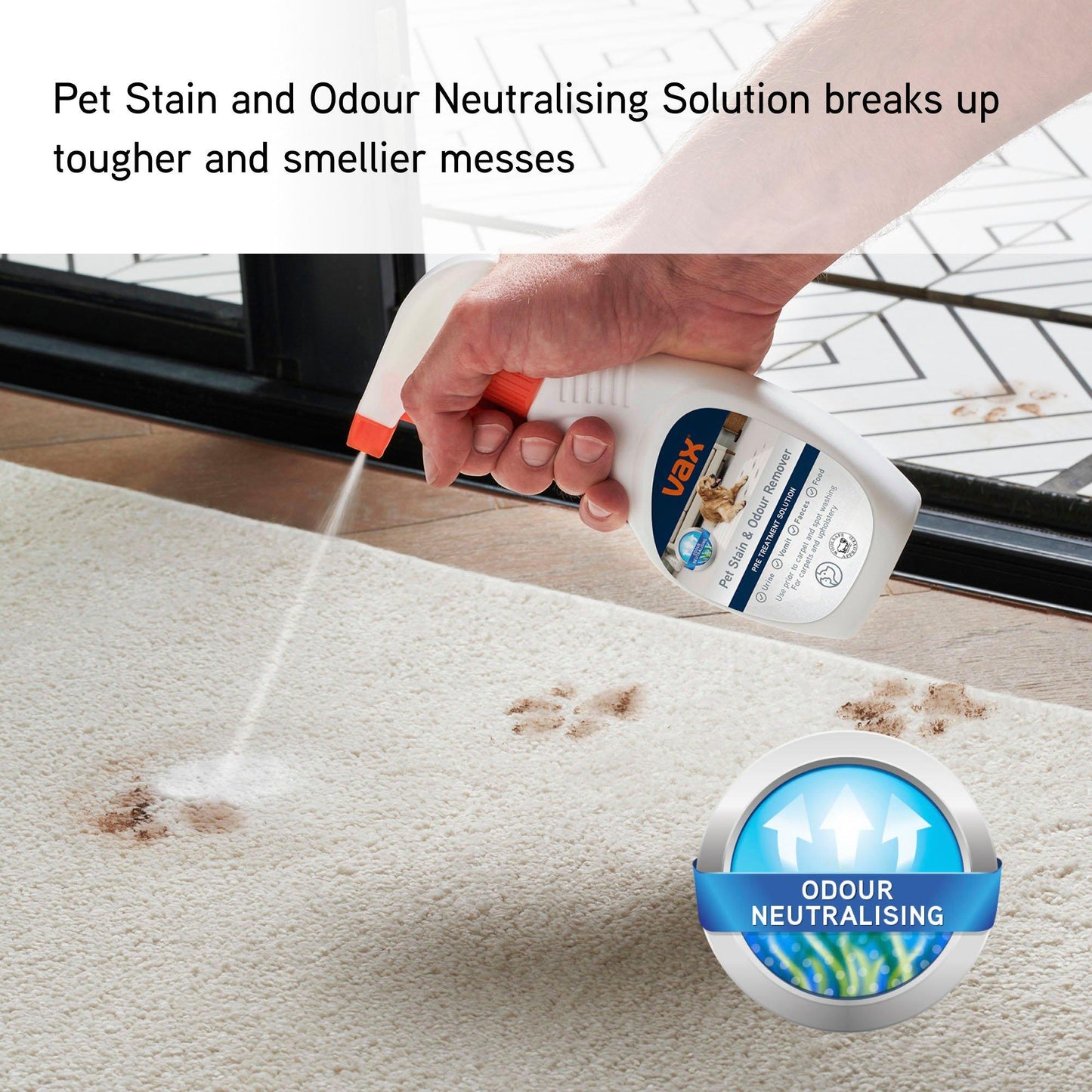Spotwash Home Pet Design Spot Cleaner