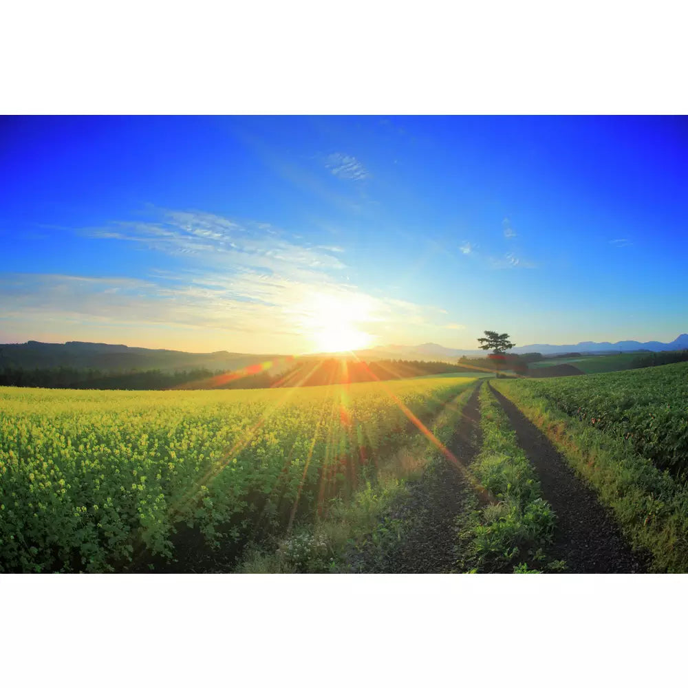 Epson Expression Photo XP-970 Wireless Inkjet Printer