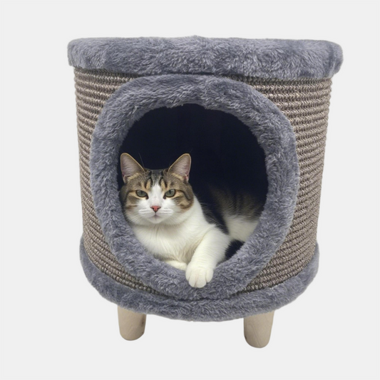 Cat House