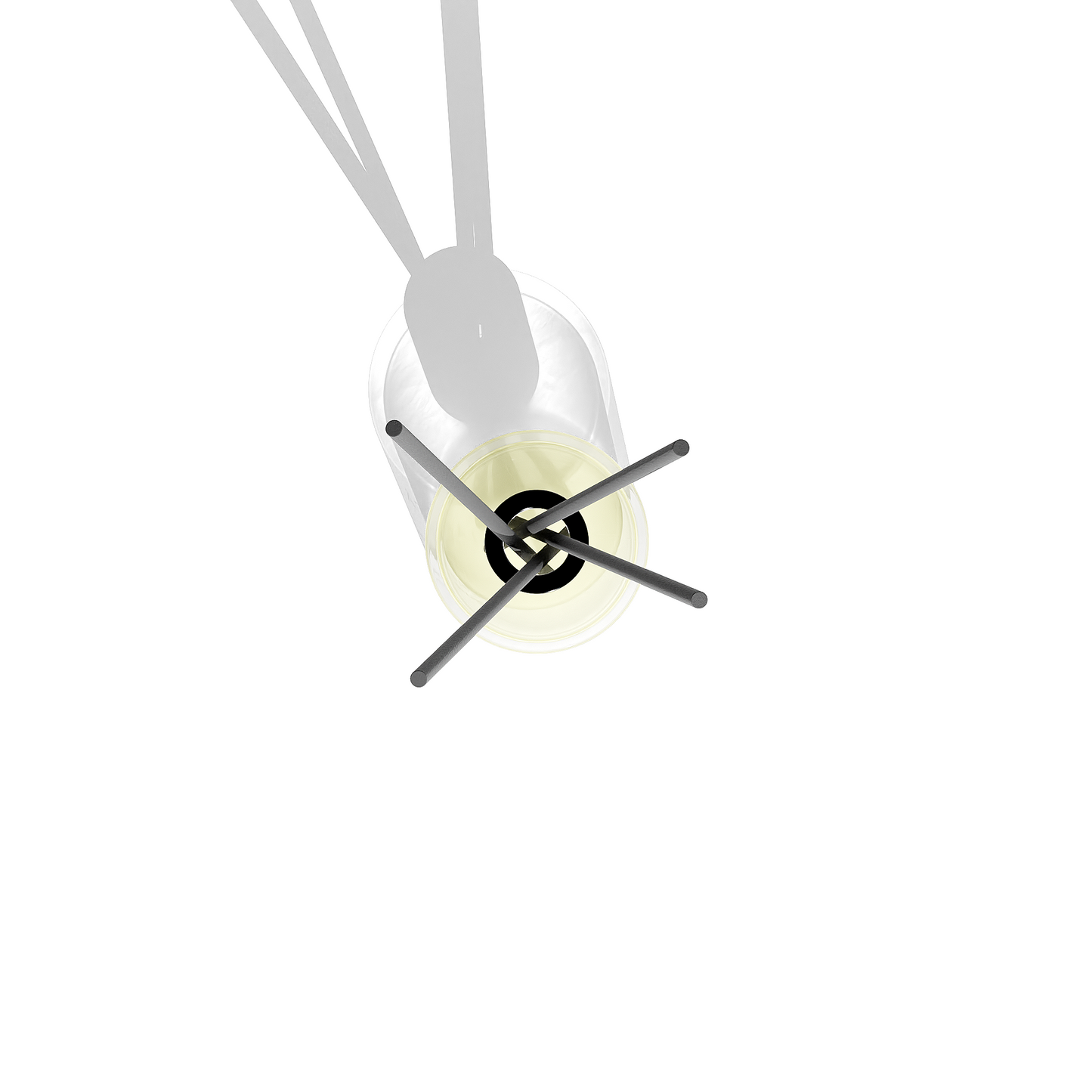 Oasis Reed Diffuser - Interactive Group