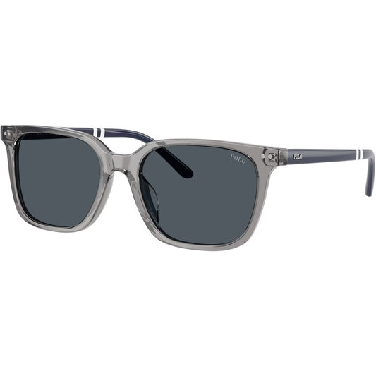 Men's 0PH4235U Wayfarer Sunglasses