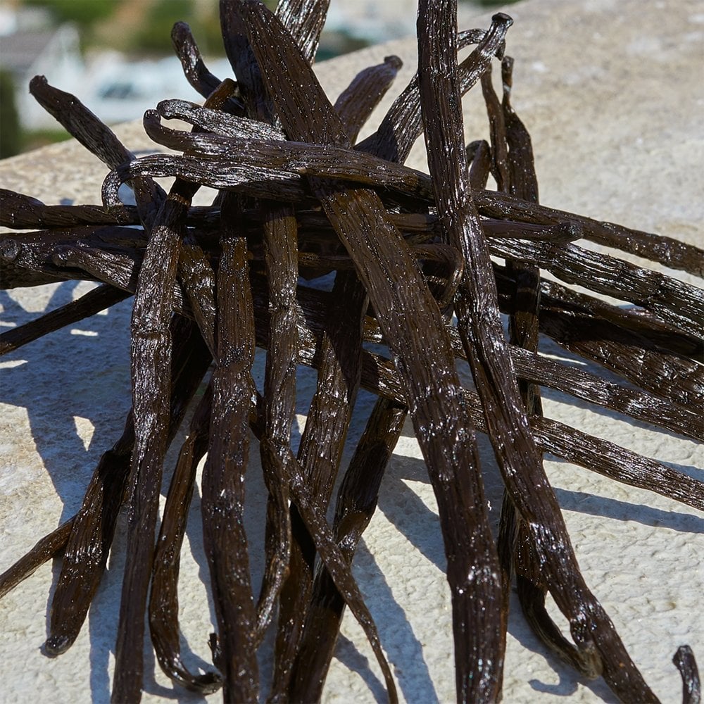 Dolce & Gabbana Devotion Eau De Parfum 100ml