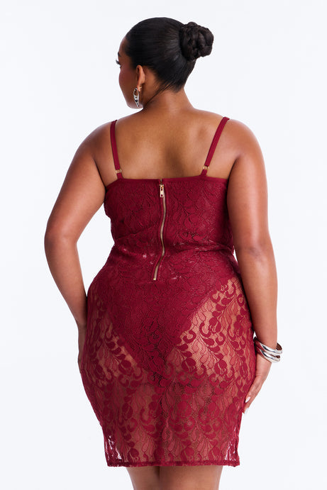 Nicole Sheer Lace Mini Dress - Burgundy
