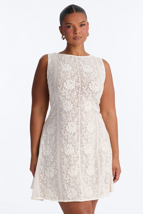 Eloise Sleeveless Lace Mini Dress
