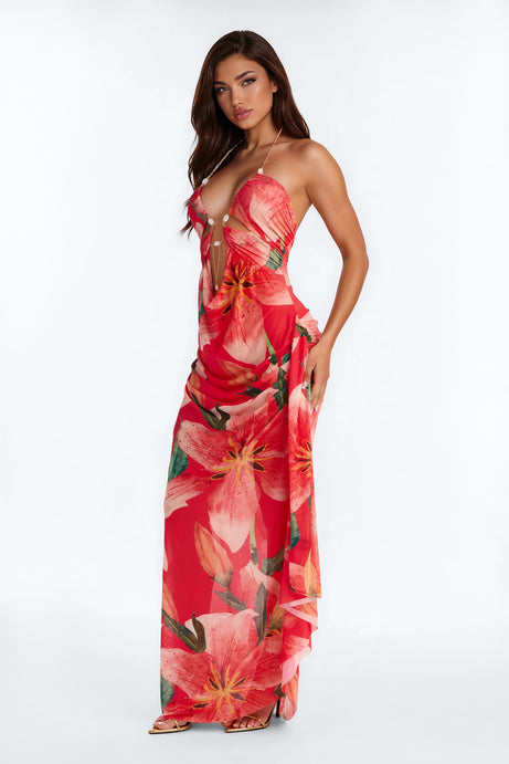 Come My Way Mesh Maxi Dress - Red/combo