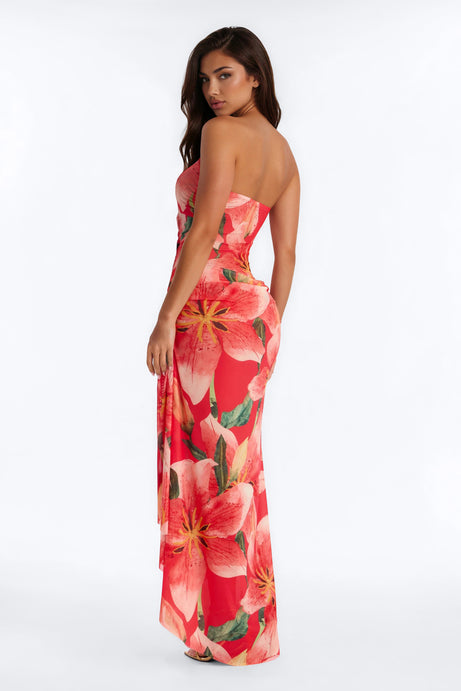 Come My Way Mesh Maxi Dress - Red/combo