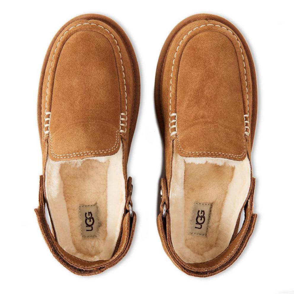 Ugg Ugg Goldenstar Clog Jn64