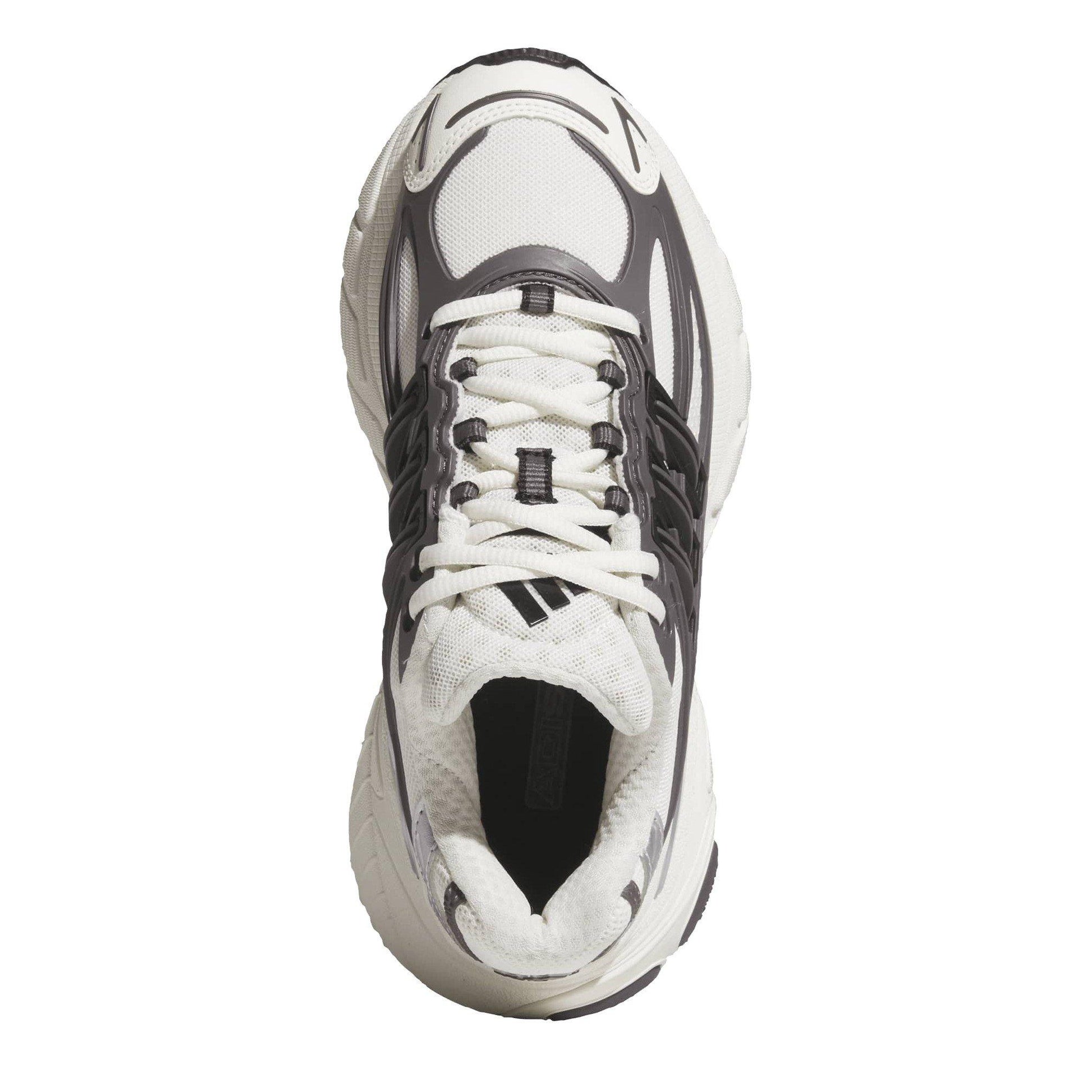 adidas Originals Adidas Adistar XLG 2 Jn64