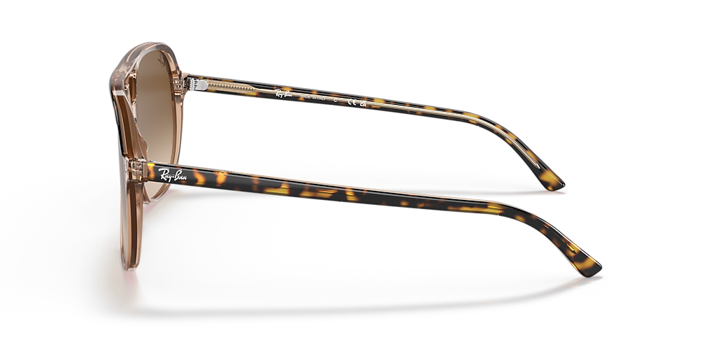 Ray-Ban RB2198 Bill