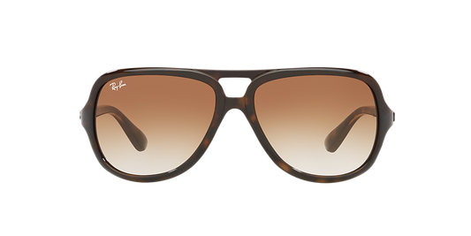 Ray-Ban RB4162