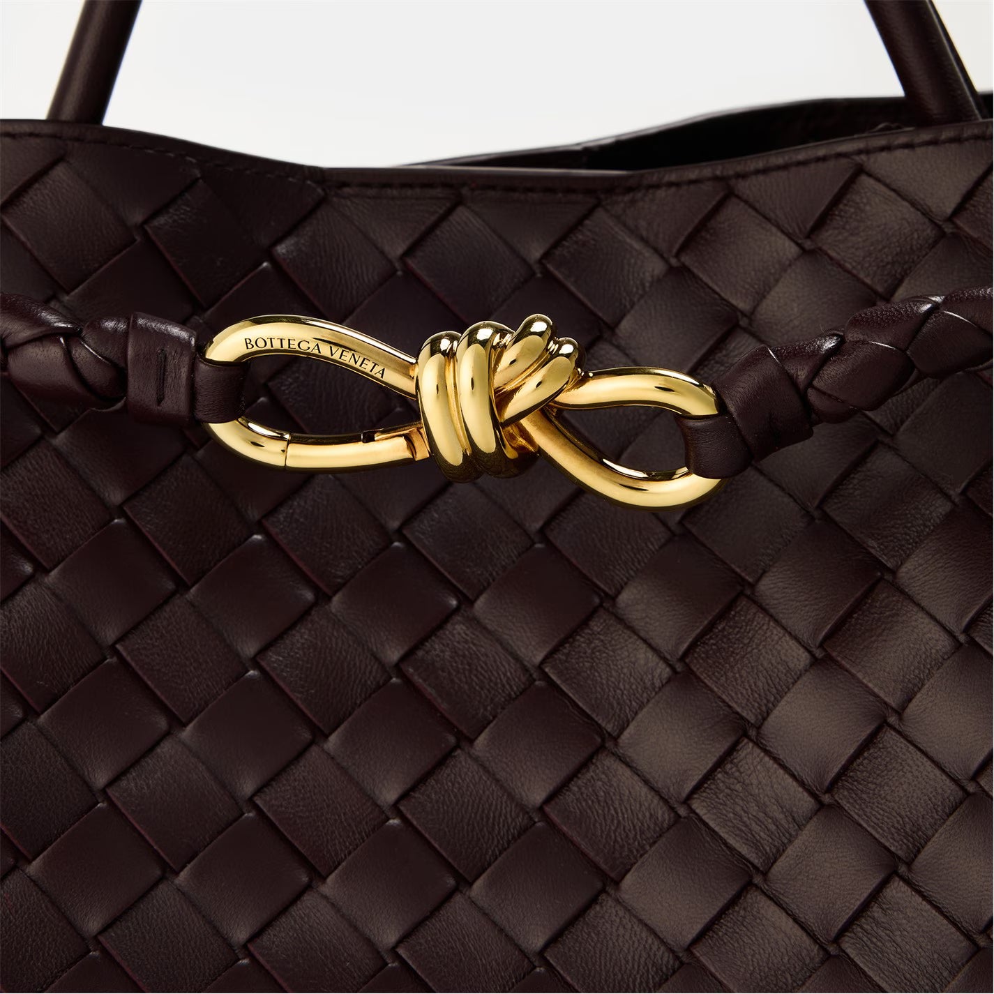 BOTTEGA VENETA Medium Andiamo Tote Bag