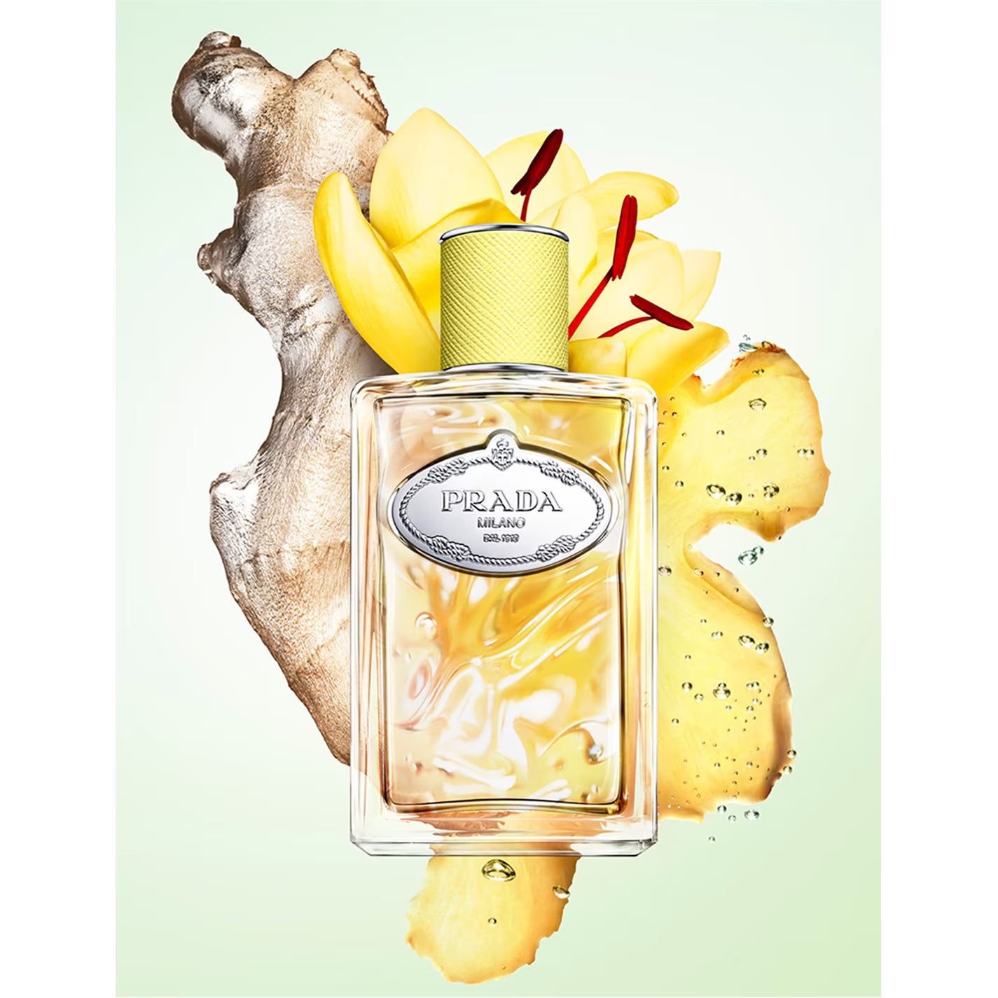Prada Infusion de Gingembre Eau de Parfum