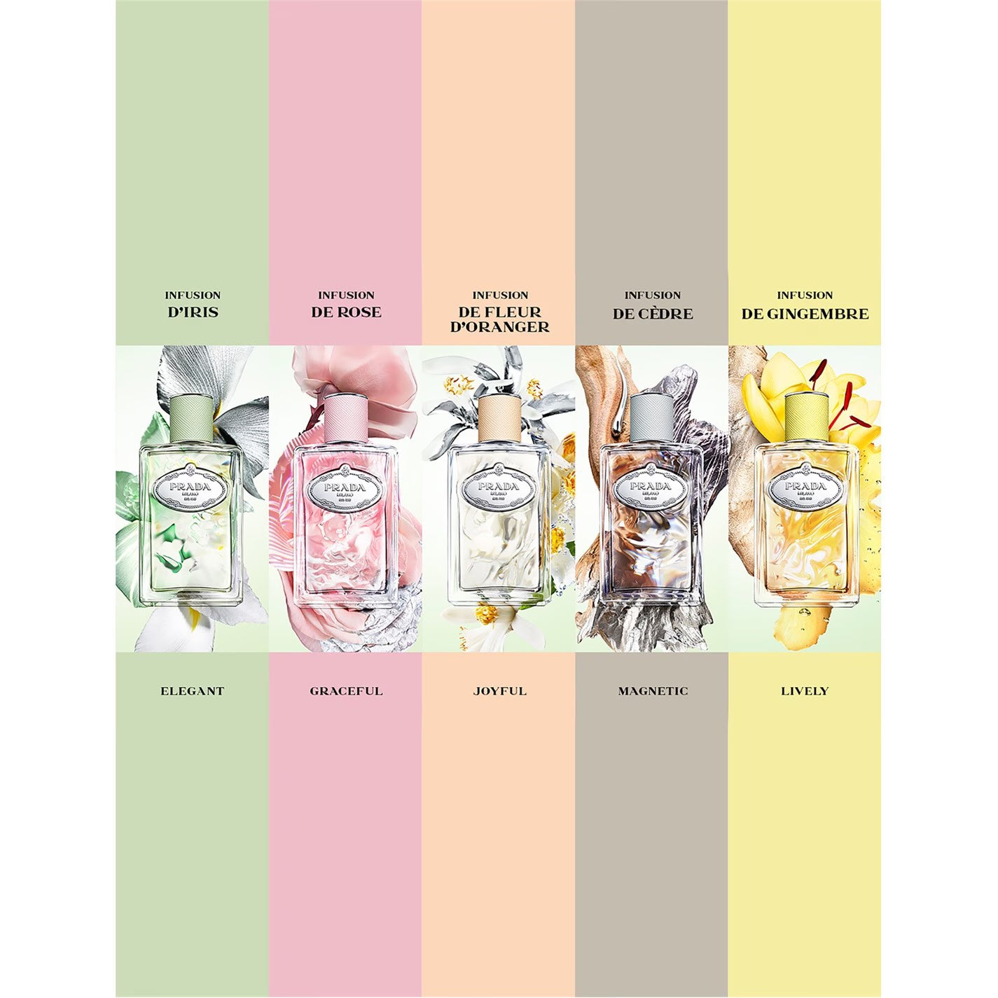 Prada Infusion de Gingembre Eau de Parfum
