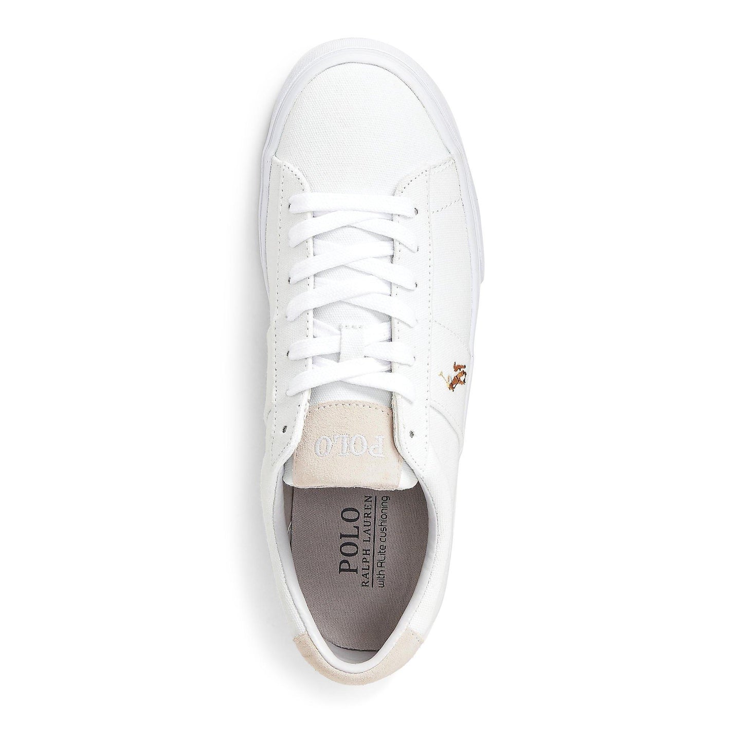 Polo Ralph Lauren Men's Sayer Canvas Low-Top Trainers