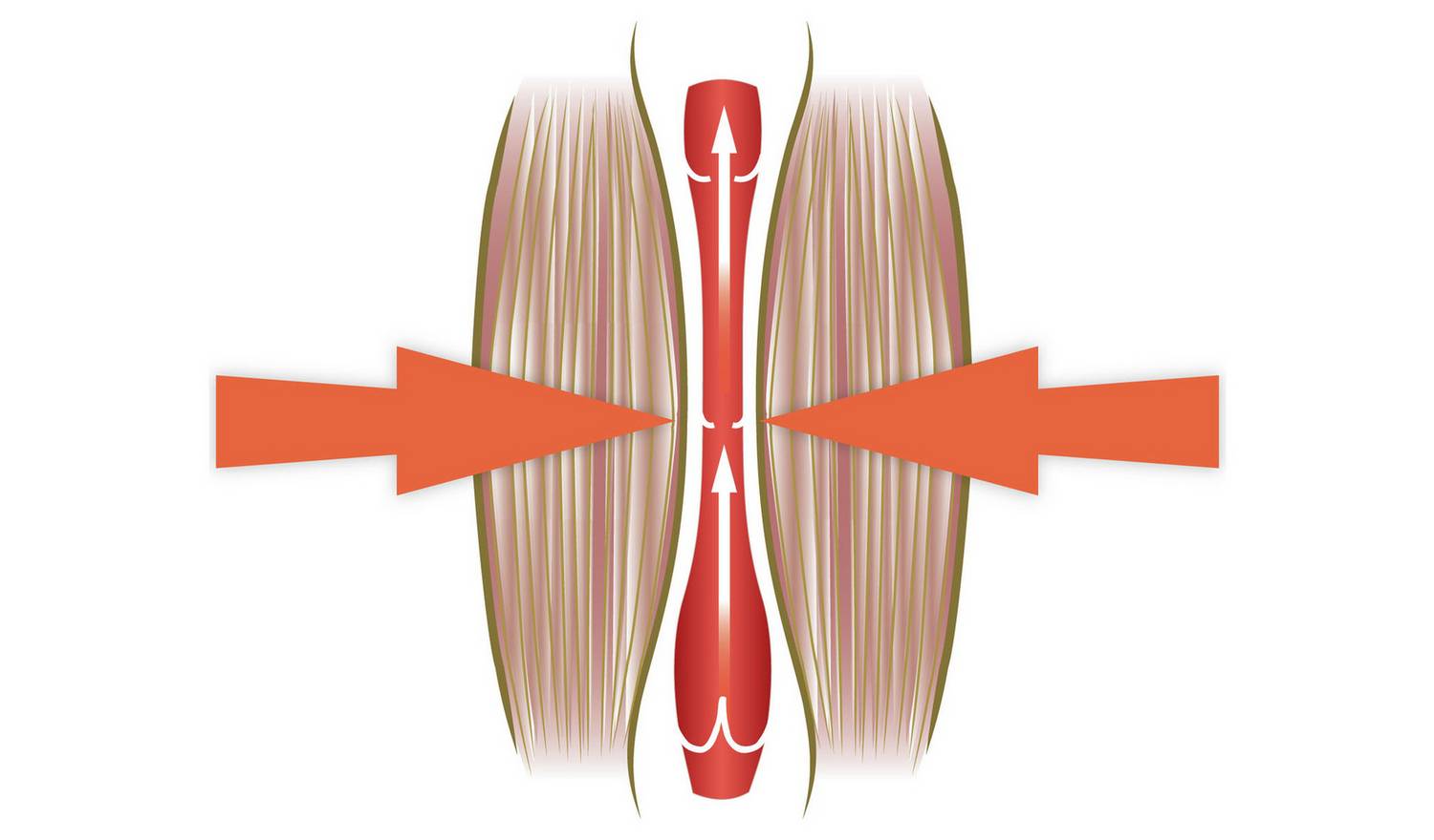 Bodi-Tek Circulation Plus Active Foot Massager