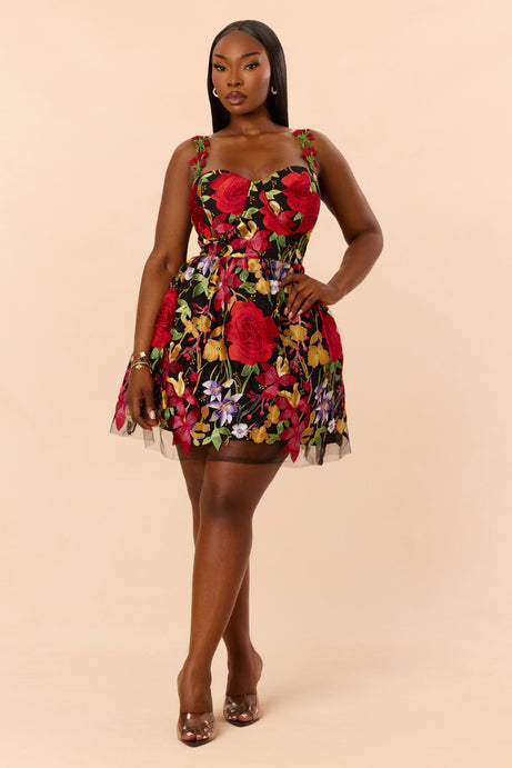Lover Girl Embroidered Mesh Mini Dress - Black/combo