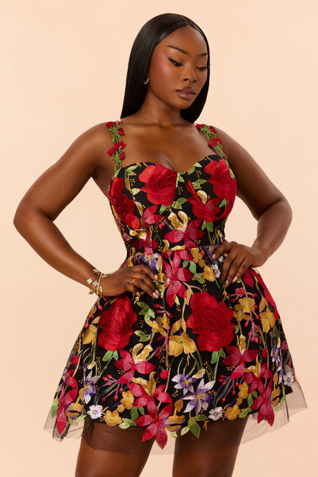 Lover Girl Embroidered Mesh Mini Dress - Black/combo