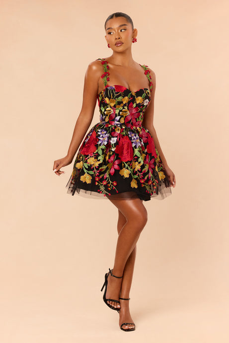 Lover Girl Embroidered Mesh Mini Dress - Black/combo