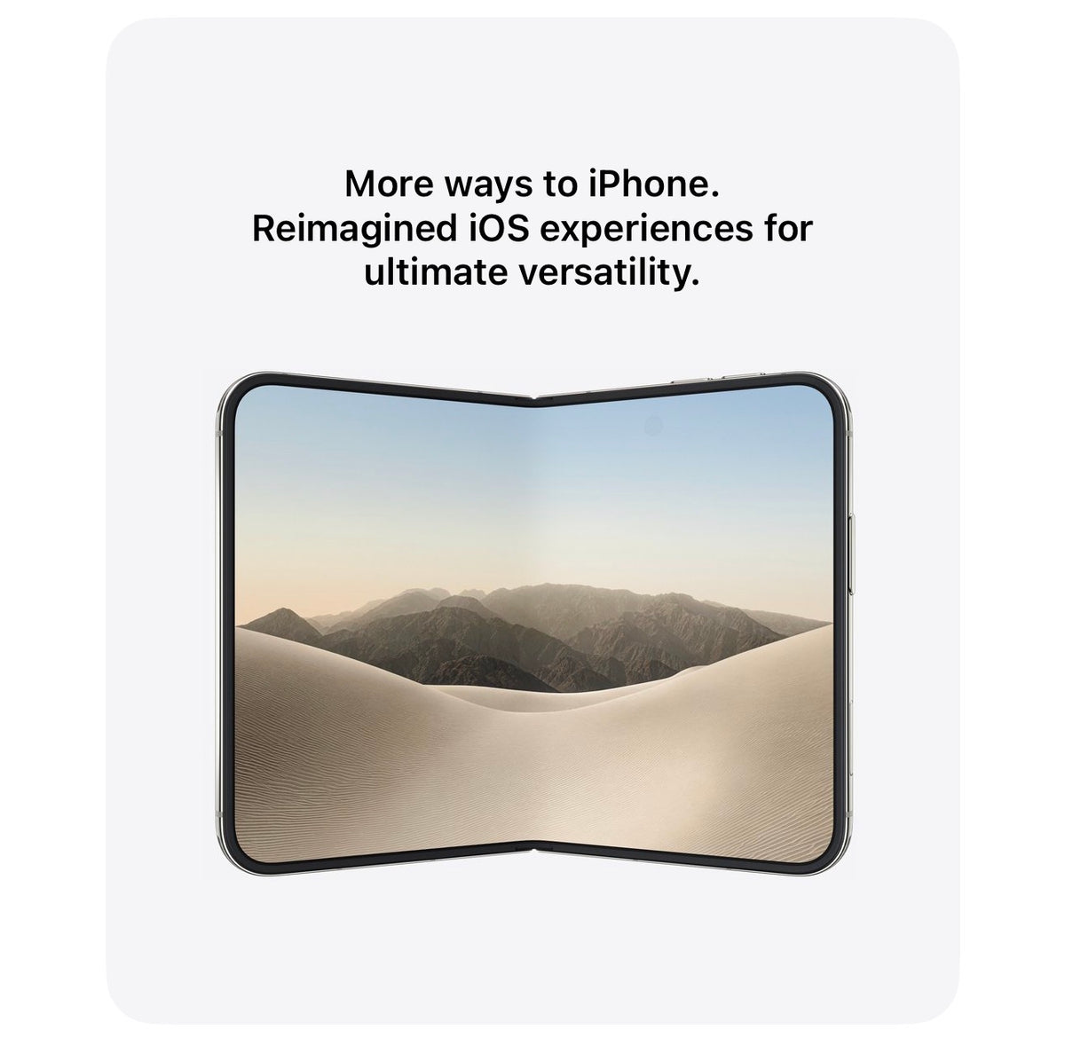 iPhone Duo