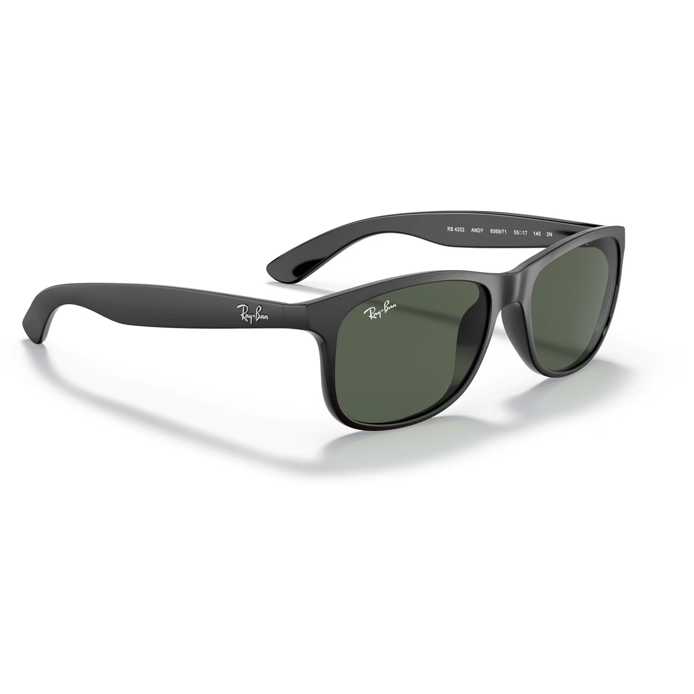 Ray Ban Matte Black Square Sunglasses