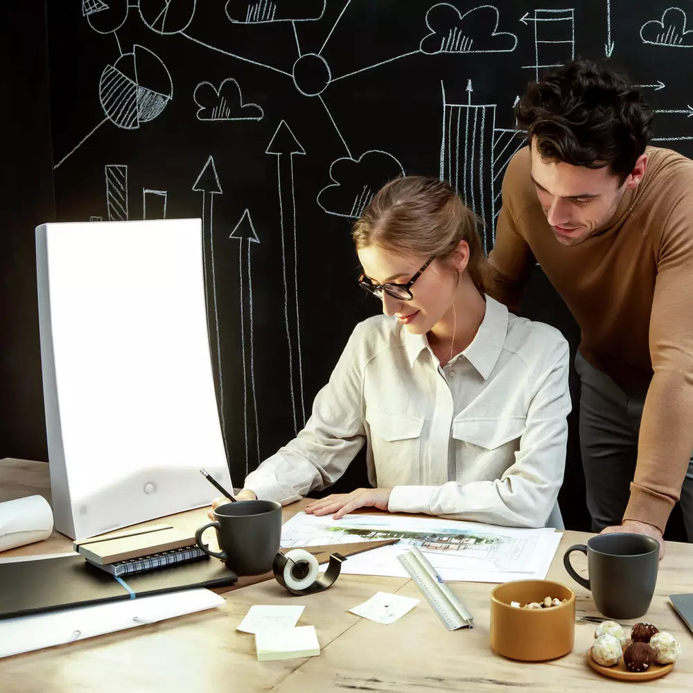 Lumie Brazil SAD Light