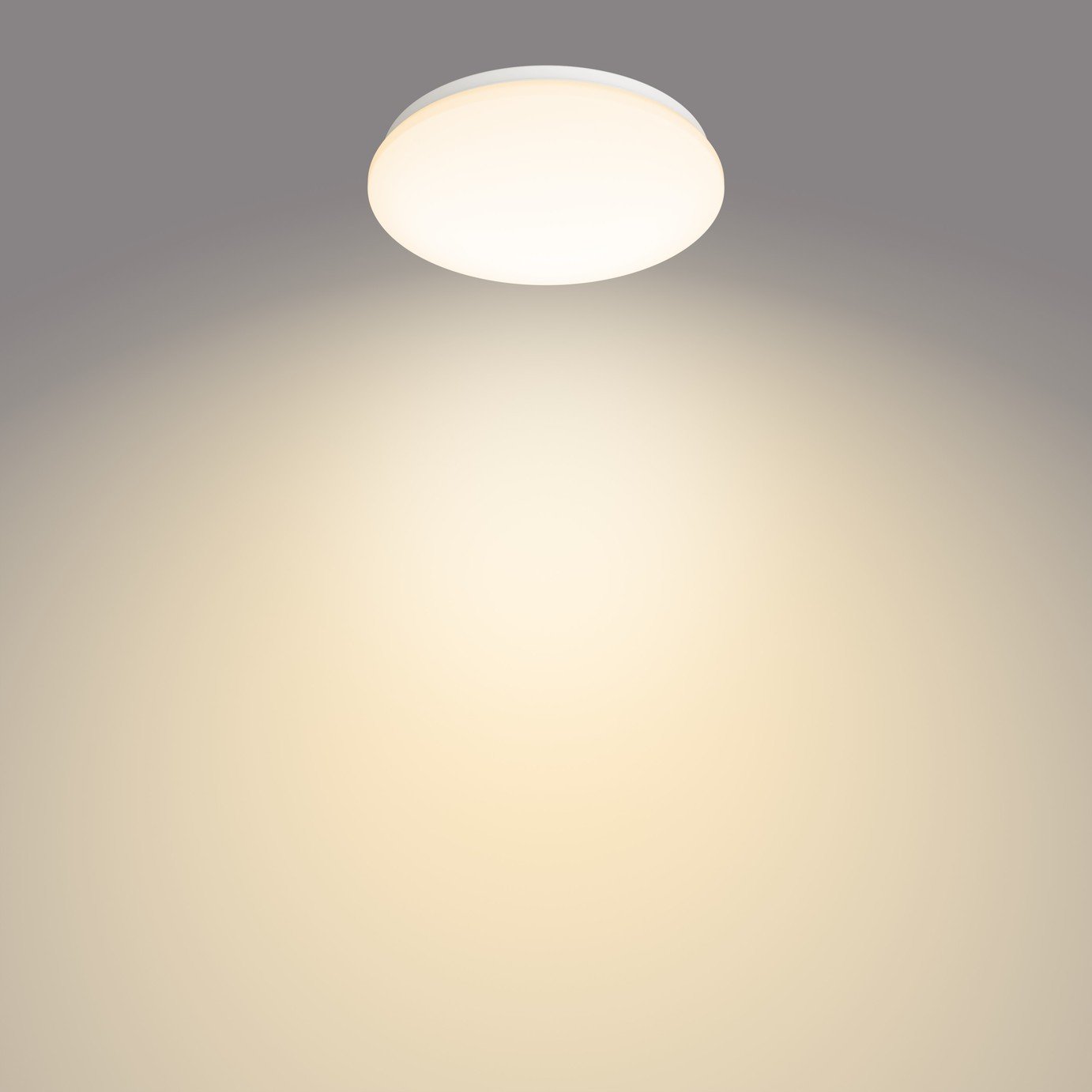 Philips LED Moire Indoor Ceiling Light - White