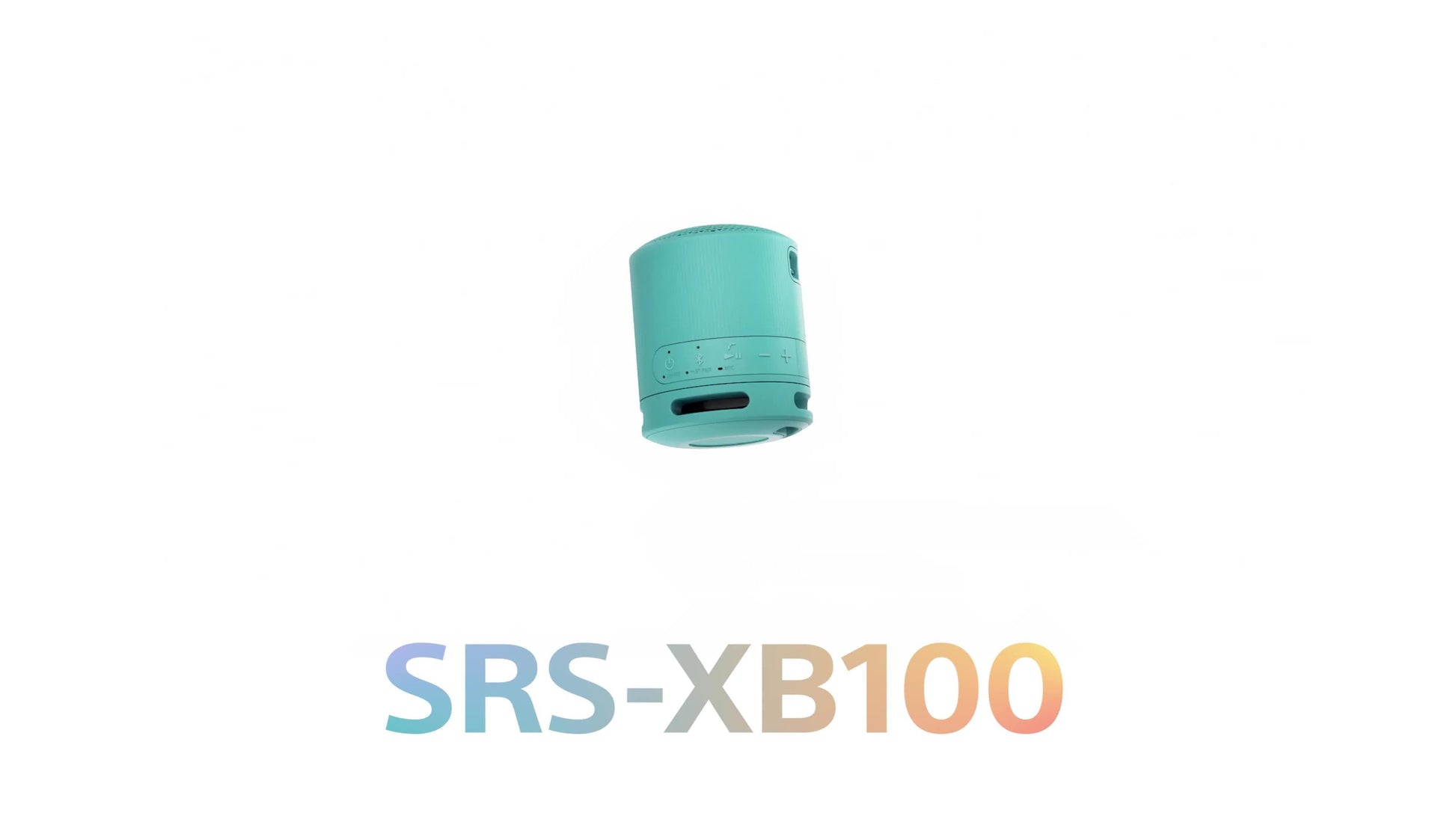 Sony SRS-XB100 Bluetooth Portable Speaker - Black