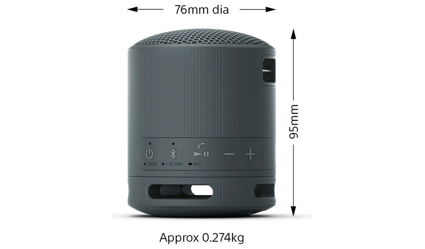 Sony SRS-XB100 Bluetooth Portable Speaker - Black