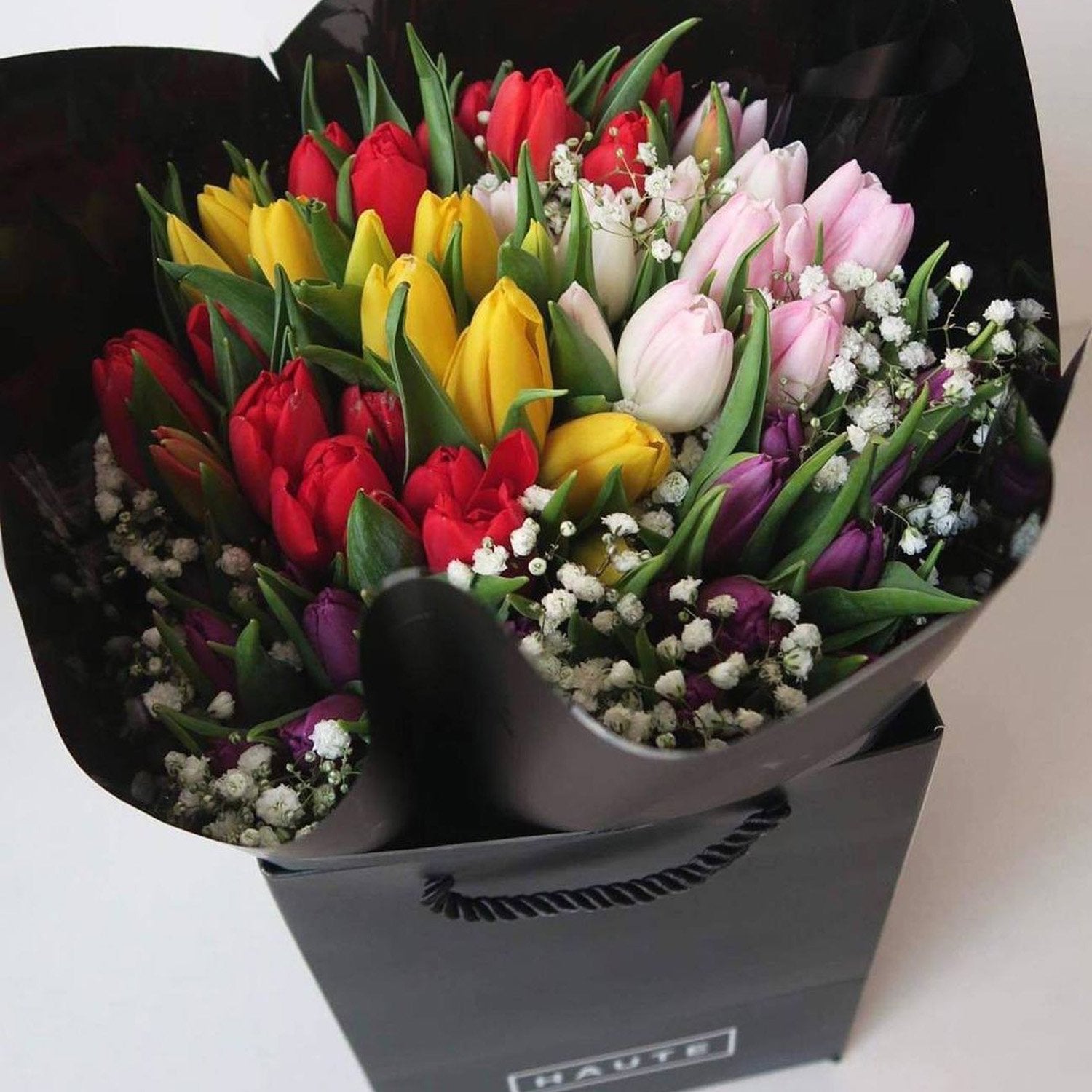 Mixed Tulips