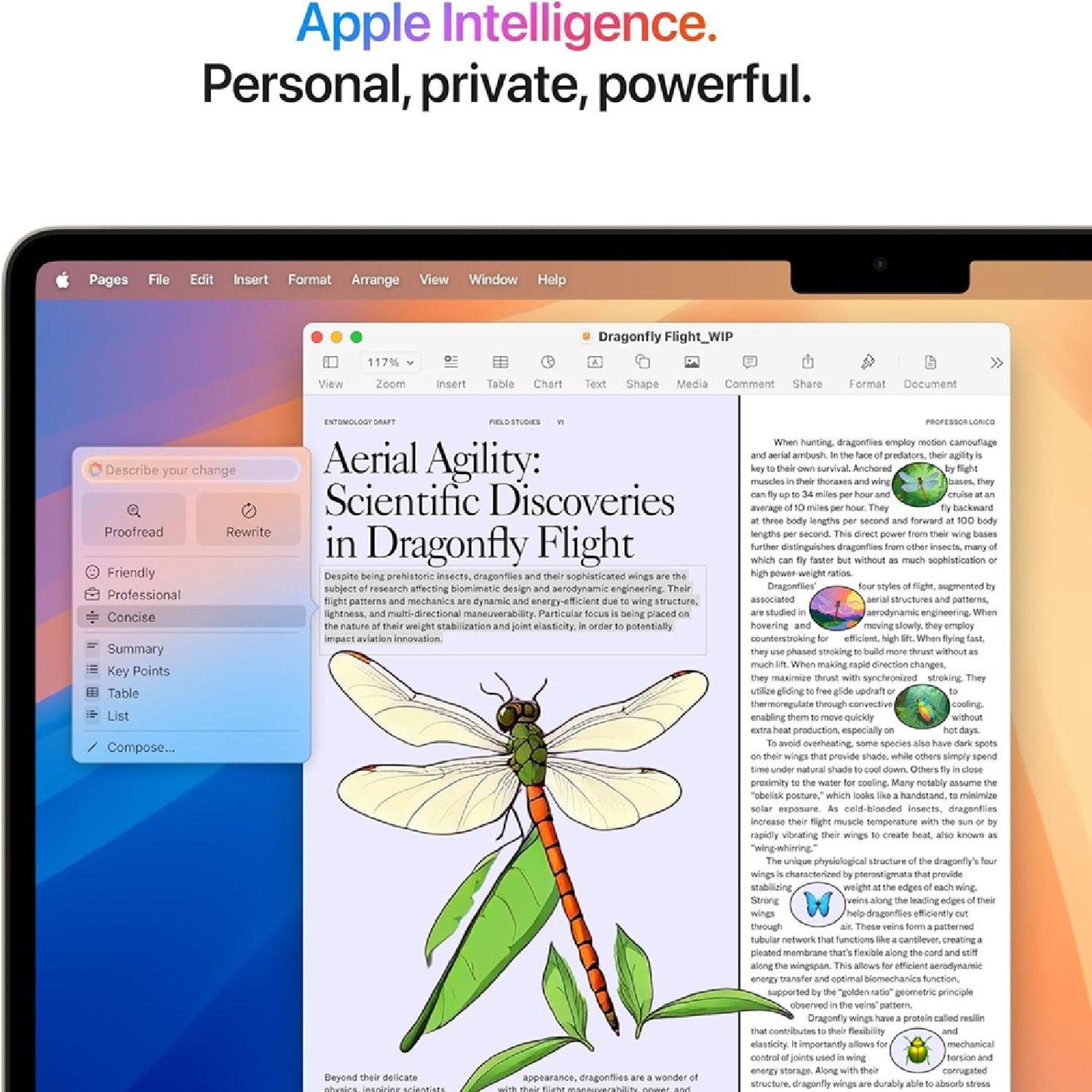 Apple Macbook Air 15 M4 10 Core 24GB 512GB (2025)