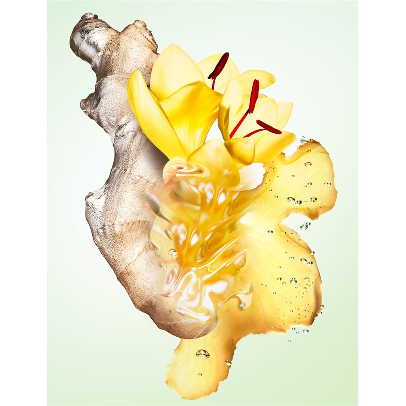 Prada Infusion de Gingembre Eau de Parfum