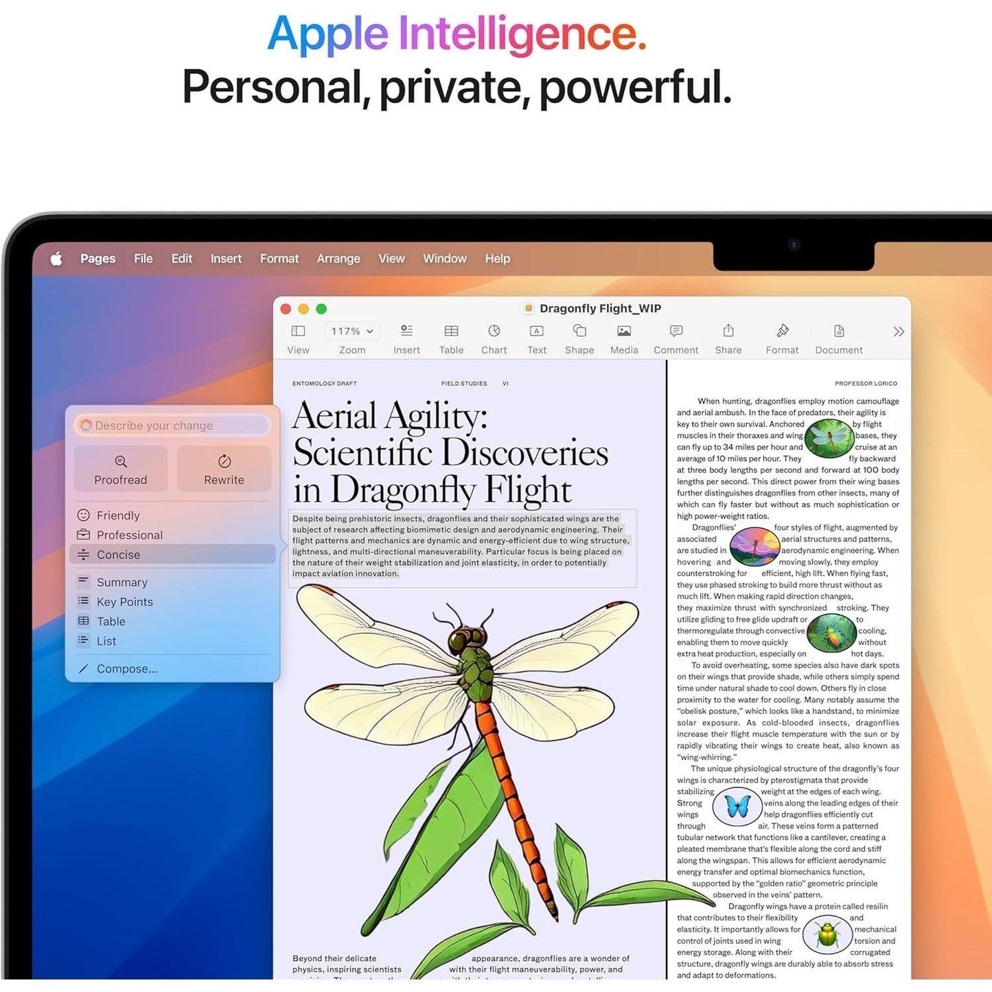 Apple Macbook Air 15 M4 10/10 Core 16GB 512GB (2025)