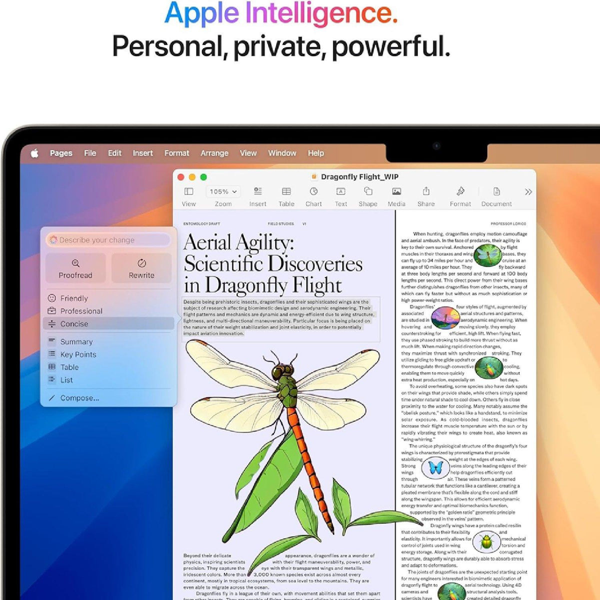 Apple Macbook Air 13 M4 10/10 Core 16GB 512GB (2025)