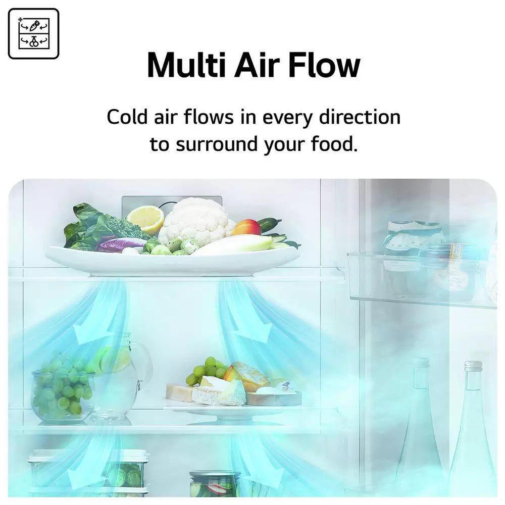 LG GMM41MSBEM American Fridge Freezer - Silver
