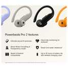 Beats Powerbeats Pro 2 True Wireless Earbuds - Jet Black