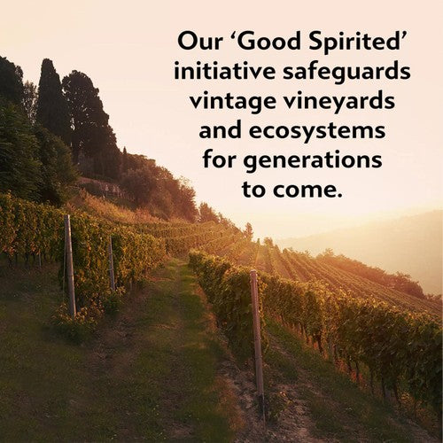 Martini Vibrante Non-Alcoholic Vermouth