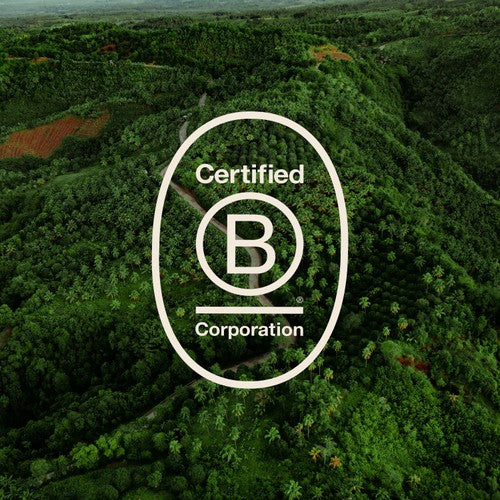 Vita Coco The Original Coconut Water