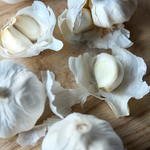 Natoora Large Spanish Garlic