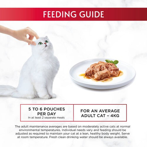 Gourmet Mon Petit Fish Variety Cod Sardine & Salmon Wet Cat Food