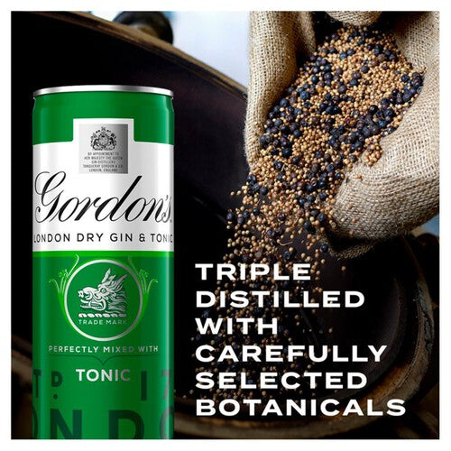 Gordon's Gin & Tonic