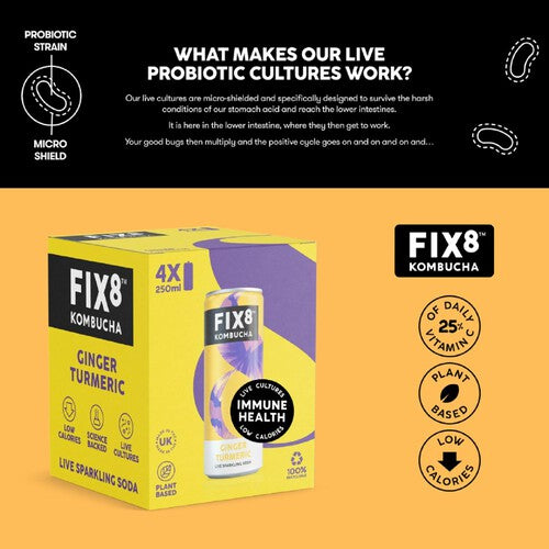 Fix8 Ginger Turmeric Kombucha Multipack